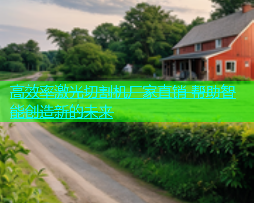 高效率激光切割机厂家直销 帮助智能创造新的未来(图1)